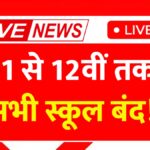 School Holiday Update